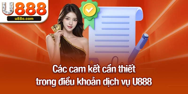 Các cam kết cần thiết trong điều khoản dịch vụ U888